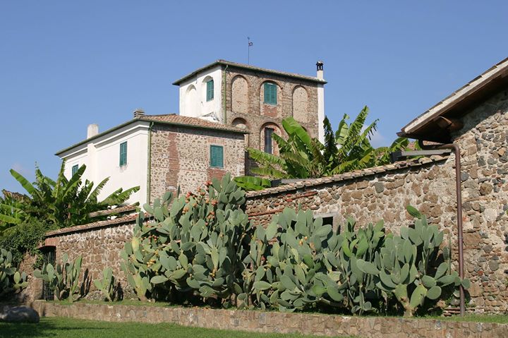 locandina malatesta.jpg